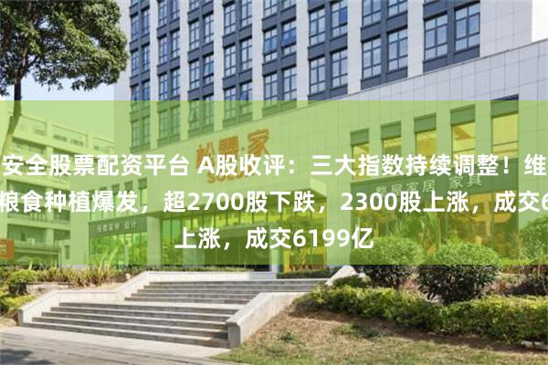 安全股票配资平台 A股收评：三大指数持续调整！维生素、粮食种植爆发，超2700股下跌，2300股上涨，成交6199亿
