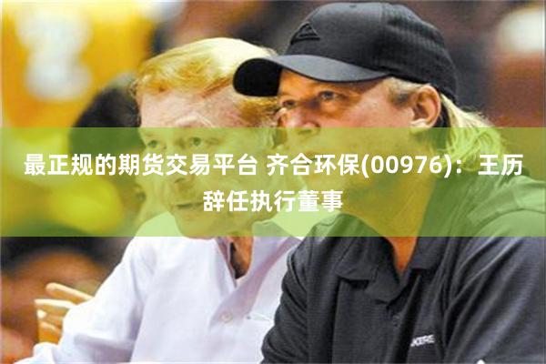 最正规的期货交易平台 齐合环保(00976)：王历辞任执行董事