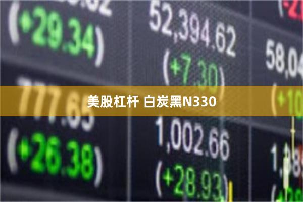 美股杠杆 白炭黑N330