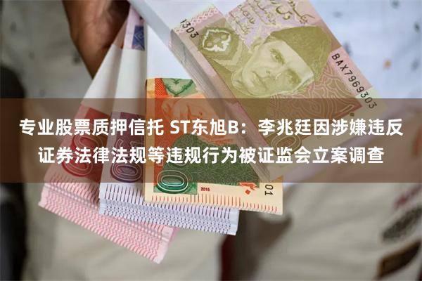 专业股票质押信托 ST东旭B：李兆廷因涉嫌违反证券法律法规等违规行为被证监会立案调查
