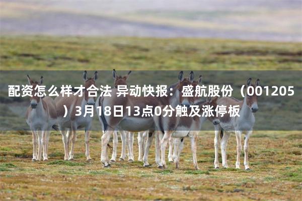 配资怎么样才合法 异动快报：盛航股份（001205）3月18日13点0分触及涨停板