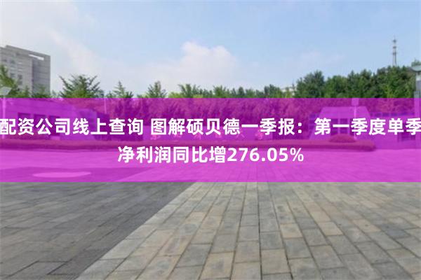 配资公司线上查询 图解硕贝德一季报：第一季度单季净利润同比增276.05%