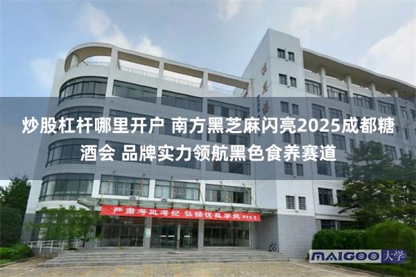 炒股杠杆哪里开户 南方黑芝麻闪亮2025成都糖酒会 品牌实力领航黑色食养赛道