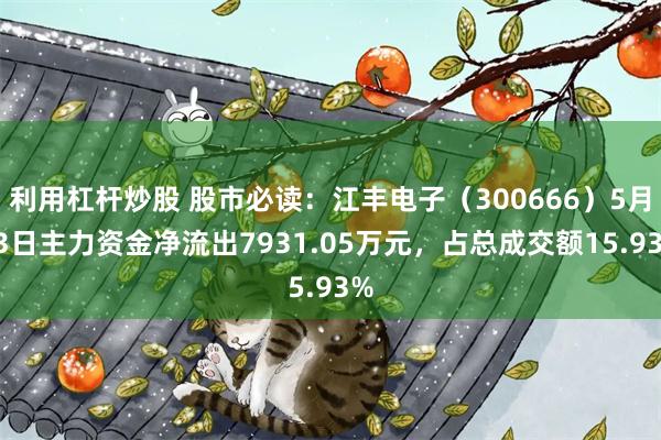 利用杠杆炒股 股市必读：江丰电子（300666）5月13日主力资金净流出7931.05万元，占总成交额15.93%