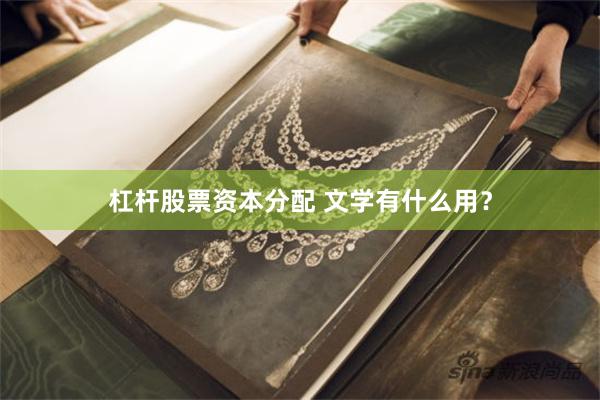 杠杆股票资本分配 文学有什么用？
