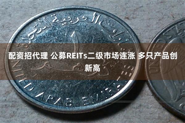 配资招代理 公募REITs二级市场连涨 多只产品创新高