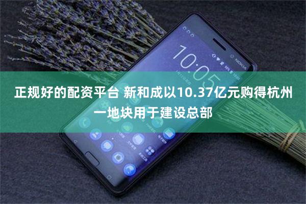 正规好的配资平台 新和成以10.37亿元购得杭州一地块用于建设总部