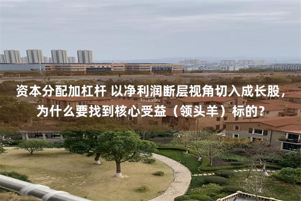 资本分配加杠杆 以净利润断层视角切入成长股，为什么要找到核心受益（领头羊）标的？
