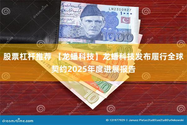 股票杠杆推荐 【龙蟠科技】龙蟠科技发布履行全球契约2025年度进展报告