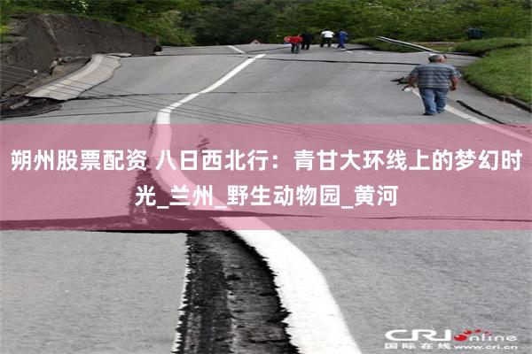 朔州股票配资 八日西北行：青甘大环线上的梦幻时光_兰州_野生动物园_黄河