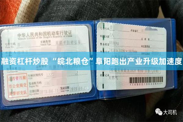 融资杠杆炒股 “皖北粮仓”阜阳跑出产业升级加速度